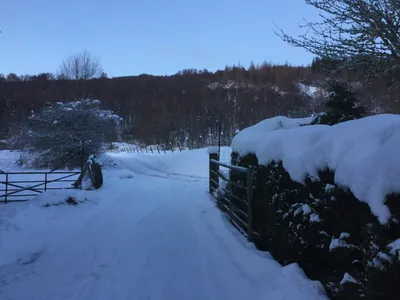Winter