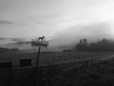 Winter