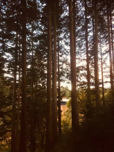 Surroundings