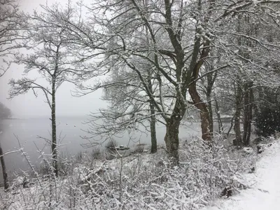 Surroundings