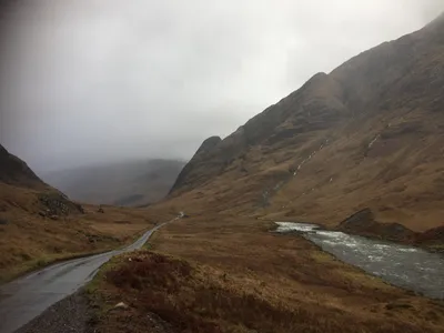 Surroundings