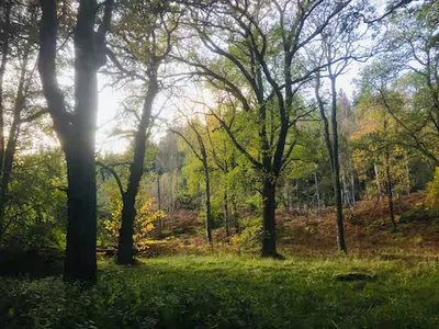 Surroundings